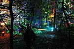 angeleuchteter Wald in der Halloween-Nacht in Bergkamen 2003