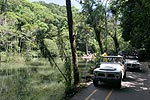 unsere Jeep-Gruppe im Tijuca Nationalpark