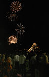 Feuerwerk whrend des Lichterfestes im Dortmunder Westfalenpark